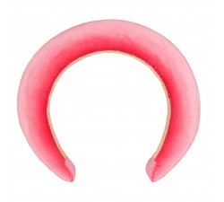 Rose Velvet rim headband